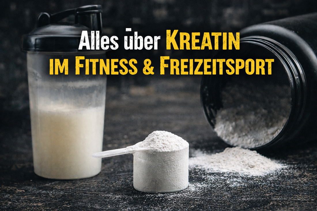 Kreatin im Fitness & Freizeitsport | Wirkung, Einnahme und Monohydrat