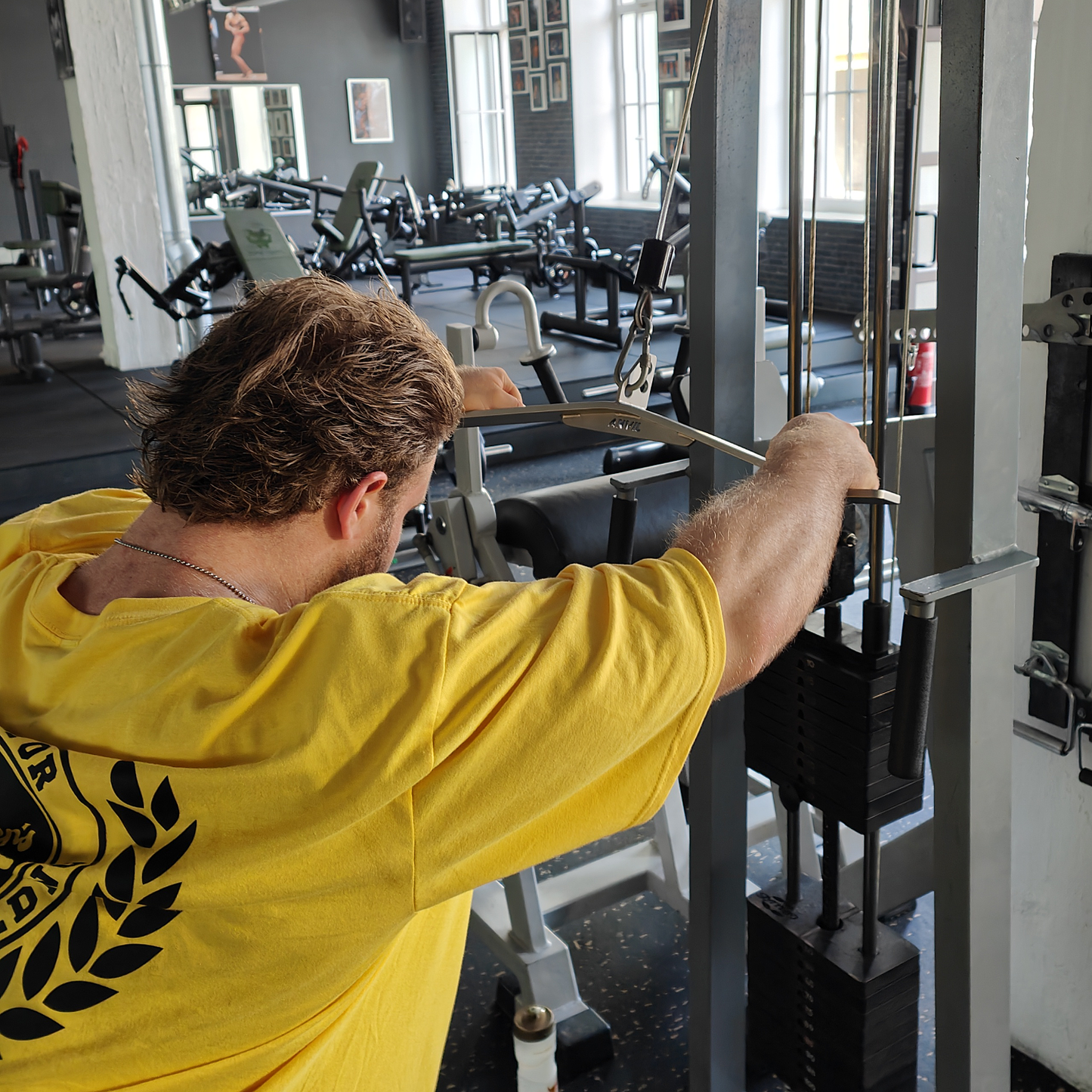 Trizeps Blade Edelstahl