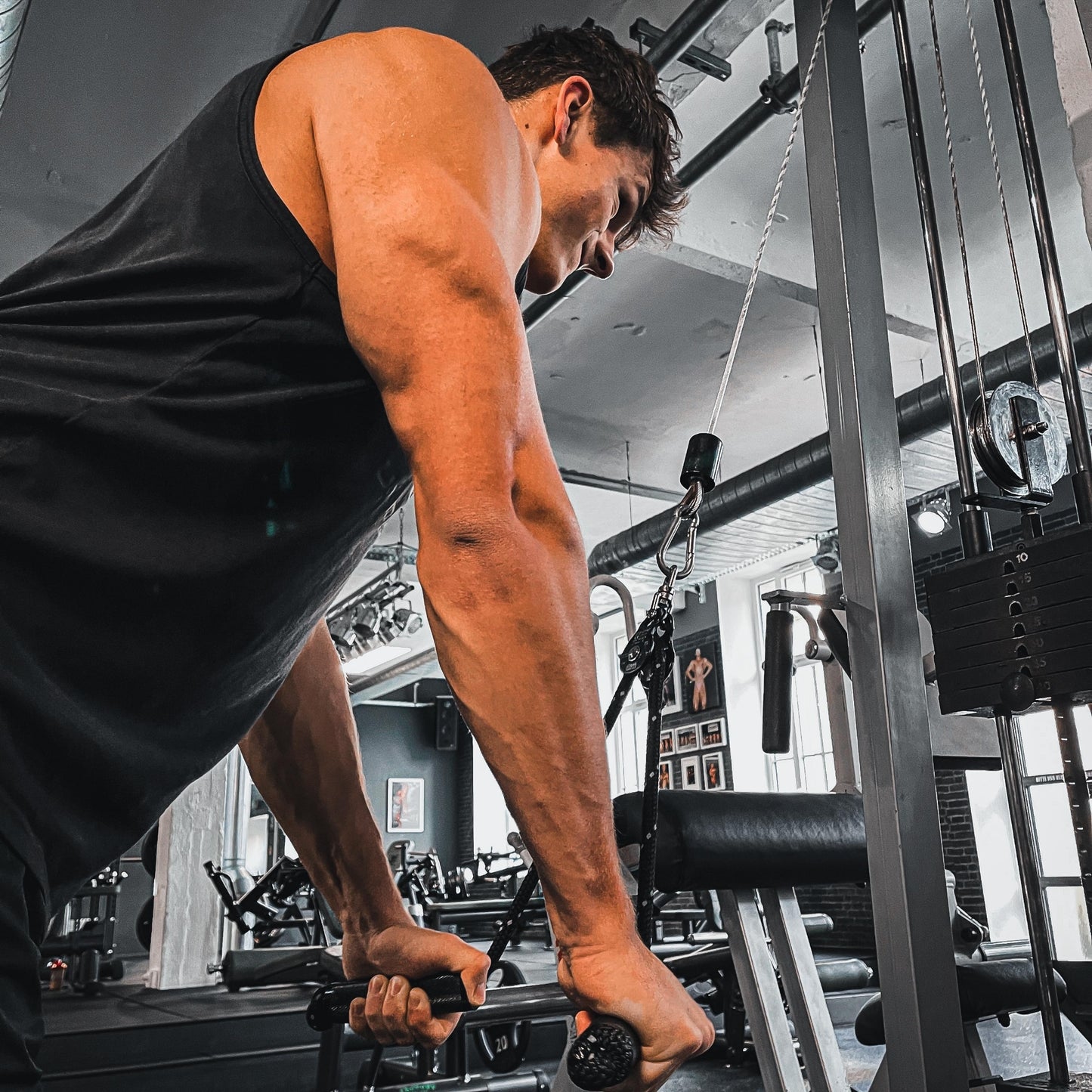 Trizepsseil Elite V2