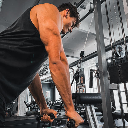 Trizepsseil Elite V2