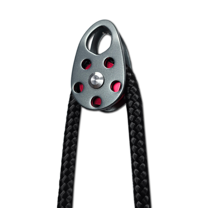 Trizepsseil Elite V2