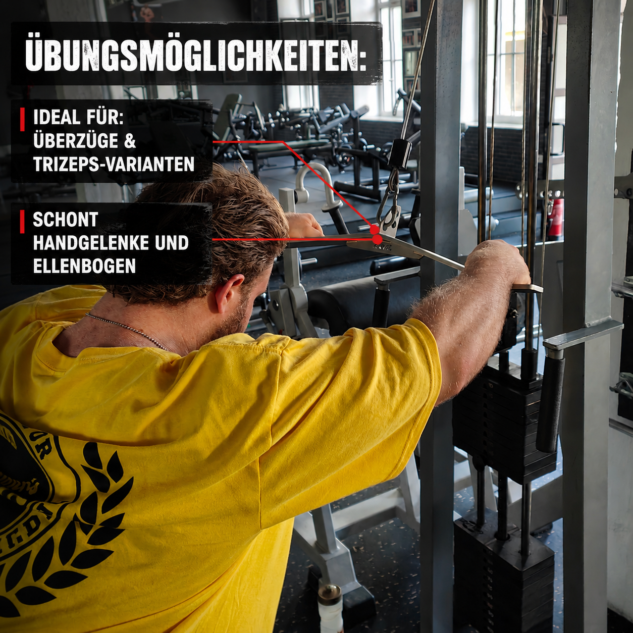 Trizeps Blade Flacheisen Edelstahl